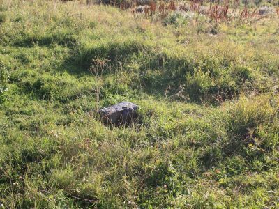 Братская могила борцам, погибшим за власть Советов