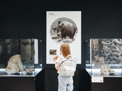 В Сочи работает выставка «Гиганты вечной мерзлоты» 