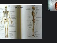 Международный вебинар «Общие правила организации движений ослабленных и парализованных пациентов»