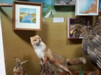 Музей природы Восточного Приазовья