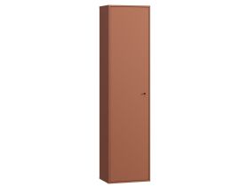 Распашной шкаф Сайрис 1-50x202 Терракотовый