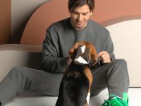 Свитшот Массимо мужской/Massimo men, серый