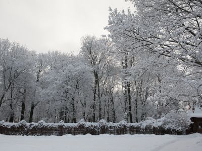 Парк