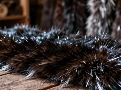 Охотники-промысловики Якутии отмечают повышение аукционных цен на шкурки соболя