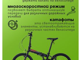 Детский велосипед Maxiscoo S009 20, год 2024, цвет Черный