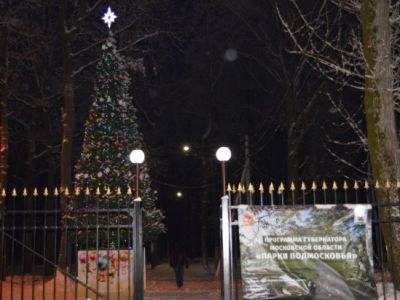 Дубовая роща г. Кашира