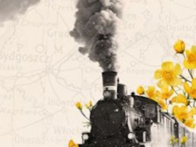 Поезд жизни