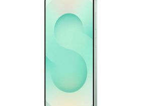 Samsung Galaxy S25 12/256Gb (Mint)
