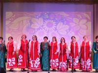 Бежаницкий районный центр культуры