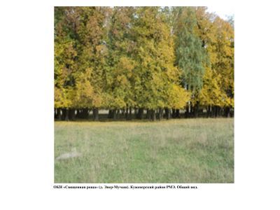 Священная роща