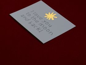 Набор для письма ISKVSSNO Apple (яблоко) B7