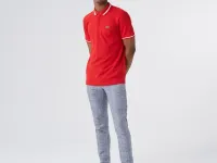 Мужское поло Lacoste стандартного кроя