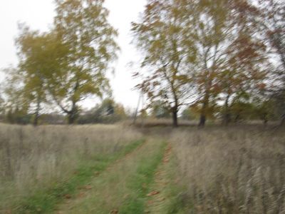 Памятное место, где в 1942 г. располагался партизанский лагерь отряда "Сатурн"