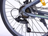 Подростковый велосипед Wind Reflex 24, год 2025, цвет Серый