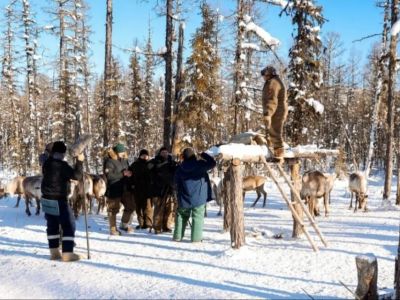 Фильм об оленеводах-эвенках снимает Дмитрий Давыдов