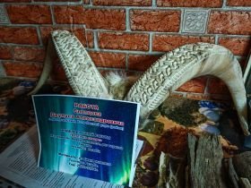 «Discovery of Arctic Yakutia»