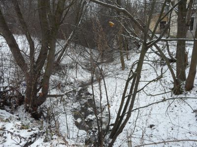 Пруд (осушен)