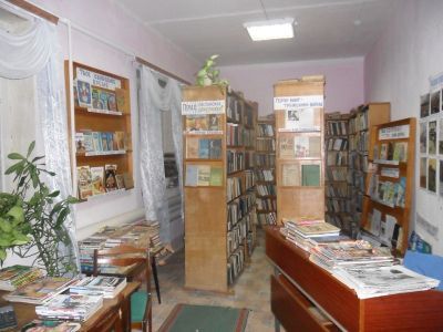 Ладыгинская сельская библиотека-филиал № 11