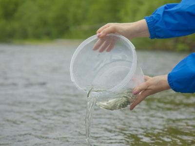Нефтяники выпустят в реки Якутии мальков редкого ленского осетра