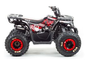 Квадроцикл MOTOLAND Wild 150
