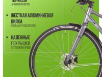 Женский велосипед Atom Symbiotic Speed Lady, год 2024, цвет Серый, ростовка 20