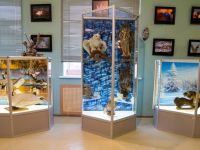 Билибинский краеведческий музей им. Г. С. Глазырина