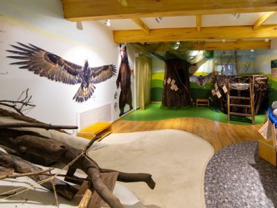 Экспозиция «Природа Карелии» и интерактивная площадка «Медвежий угол»