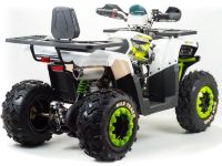 Квадроцикл MOTOLAND ATV 200 Wild Track