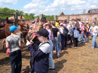 Страницы истории конного завода. Экскурсия