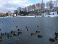 Парк «Кольцово»