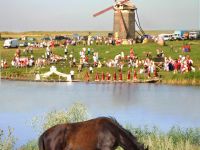 Воронежский областной центр народного творчества и кино