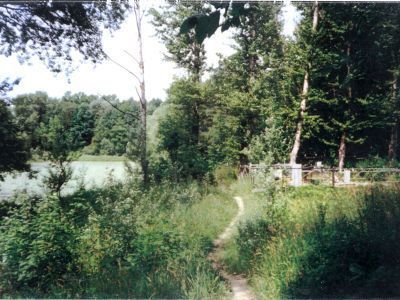 Сельское кладбище