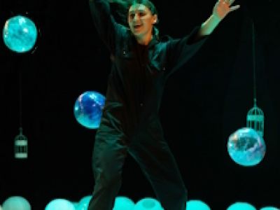 Чёрная курица