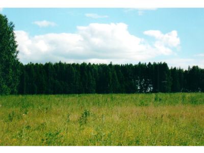 Священная роща