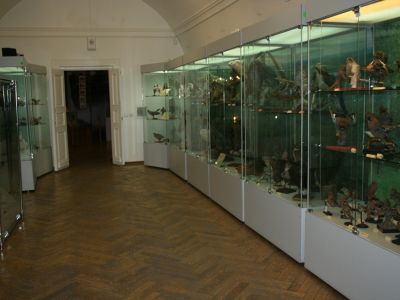 Билеты на Экскурсия по всем выставкам первого этажа (Краеведческий музей им. Шатилова) / Экскурсия | Афиша | ИнфоТаймс