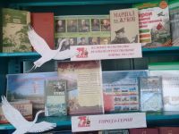 Новоелюзанская сельская библиотека