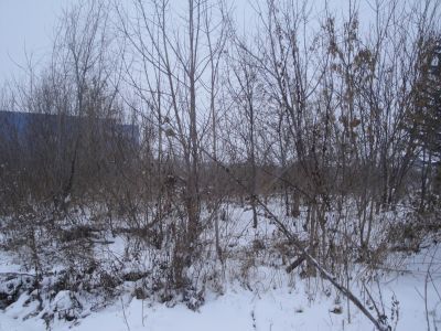 Деревянный жилой дом конца XIX века с глухой и пропильной резьбой карнизов, наличников и воротами с оригинальным декором "солнышко"