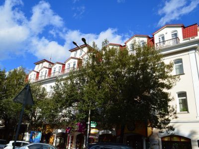 Гостиница «Центральная» Е.Е.Соколова