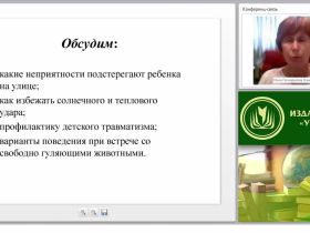 Реализация ФЗ “Об образовании в РФ”. Профилактика детского травматизма в дошкольной образовательной организации