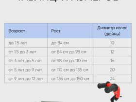 Детский велосипед Welt Dingo 16, год 2024, цвет Красный