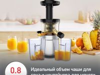 Шнековая соковыжималка Moulinex Juice & Clean ZU420E10