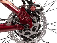 Женский велосипед Foxx Stinger Laguna 29, год 2025, цвет Красный, ростовка 20