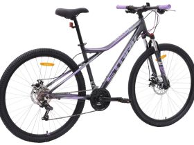 Горный велосипед Stark Slash 29.1 D, год 2024, цвет Черный-Фиолетовый, ростовка 22