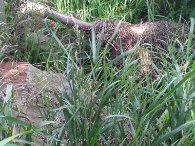 Памятник воинам, погибшим в годы Великой Отечественной войны (1941 - 1945 гг.)