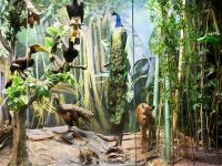 Государственный Дарвиновский музей