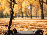 Самокат  Exegol ESEXS Pro 10, цвет Черный