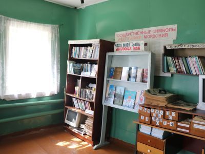 Библиотека села Гузынцы