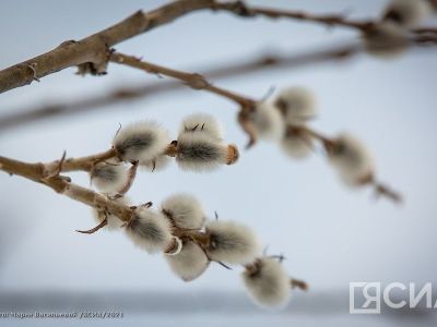 Народные приметы на 19 апреля 2024 года: что нельзя делать в этот день