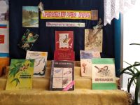 Богдановская сельская библиотека