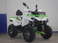 Квадроцикл AVANTIS Forester 200